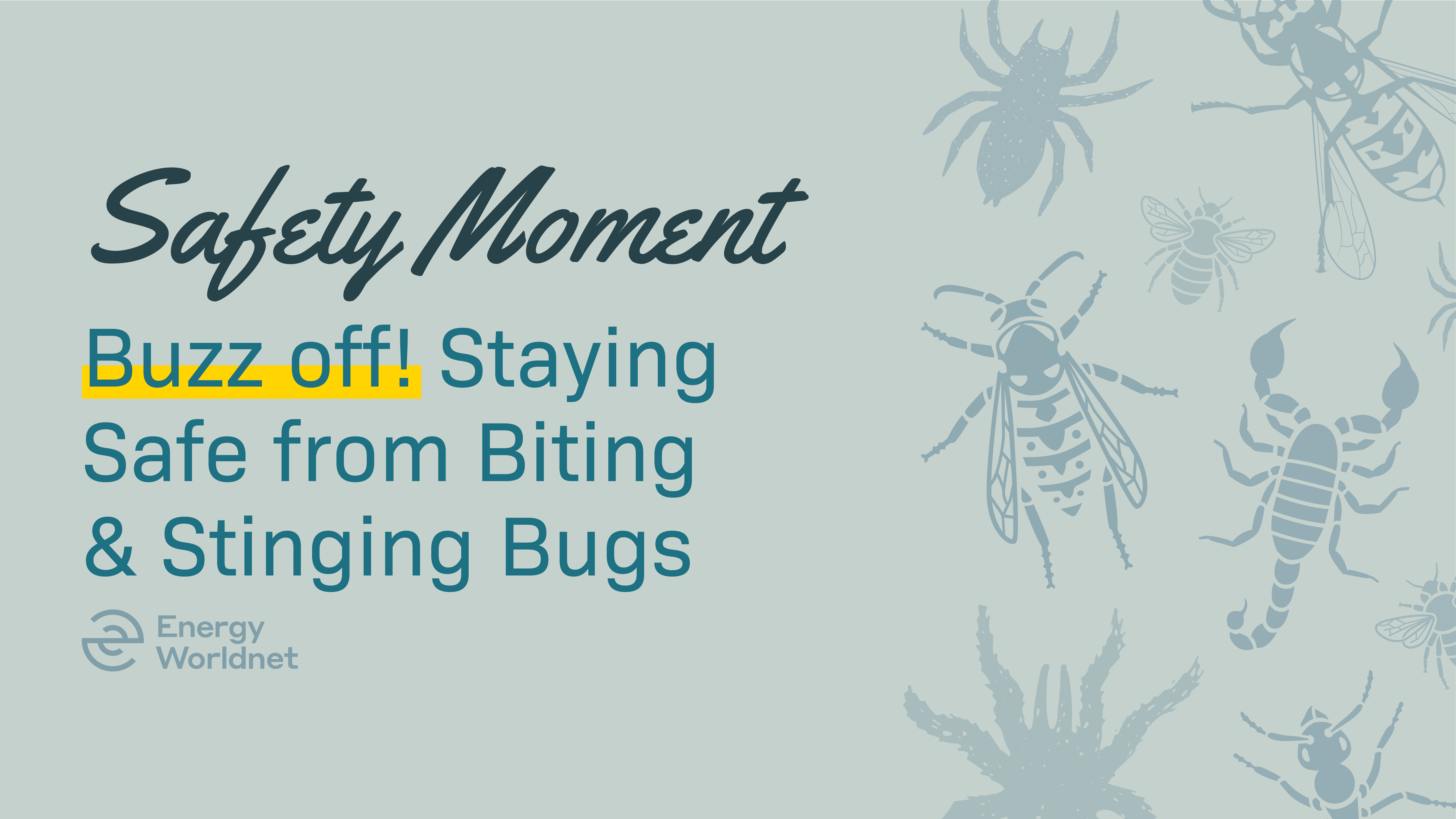 EWN Safety Moment Blog Biting and Stinging Bugs